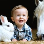 Animal-Assisted Therapy is Transforming Children’s Mental Health (Research Proves It)