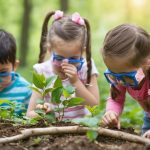 Why Nature-Based Learning Makes Your Child’s Brain Thrive