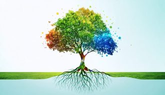 Conceptual depiction of a tree symbolizing key components of emotional well-being, including roots for self-awareness, a trunk for resilience, and branches for social skills and relationships.