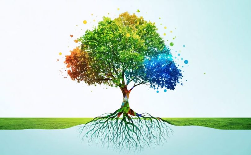 Conceptual depiction of a tree symbolizing key components of emotional well-being, including roots for self-awareness, a trunk for resilience, and branches for social skills and relationships.
