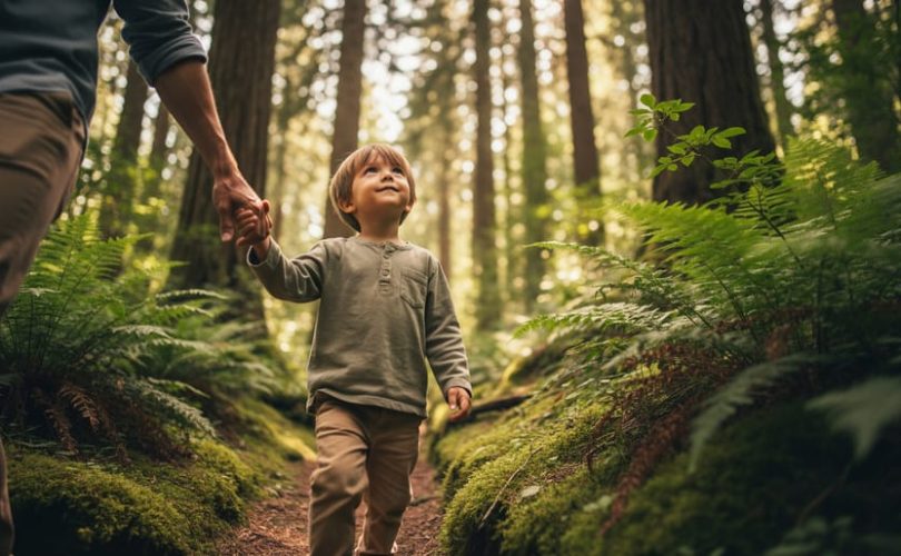A child walking beside a parent on a mossy forest path, surrounded by tall trees and soft green light filtering through leaves.